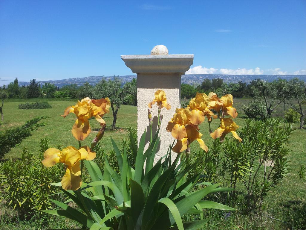 Lamanderie En Provence Acomodação com café da manhã Alleins Exterior foto